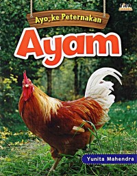 Ayo, ke Peternakan Ayam