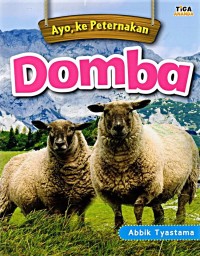 Ayo,  ke Peternakan Domba